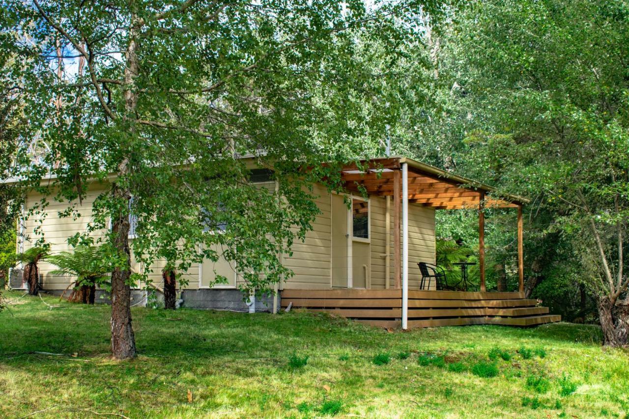 Russell Falls Holiday Cottages National Park Exterior foto