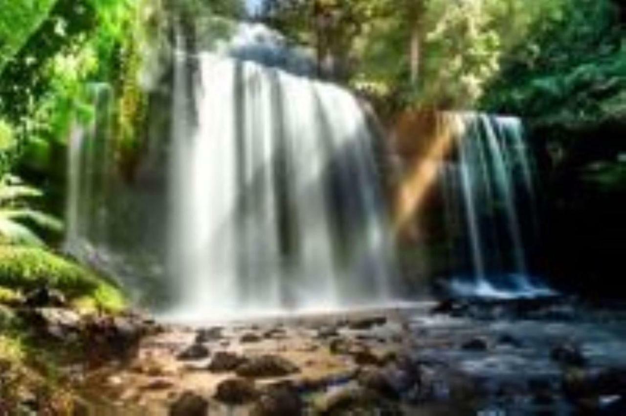 Russell Falls Holiday Cottages National Park Exterior foto
