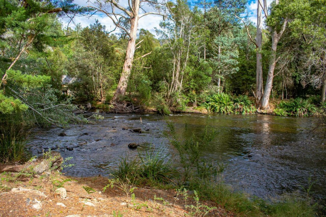 Russell Falls Holiday Cottages National Park Exterior foto